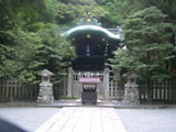 Kamakura - Tsurugaoka Hachimangu